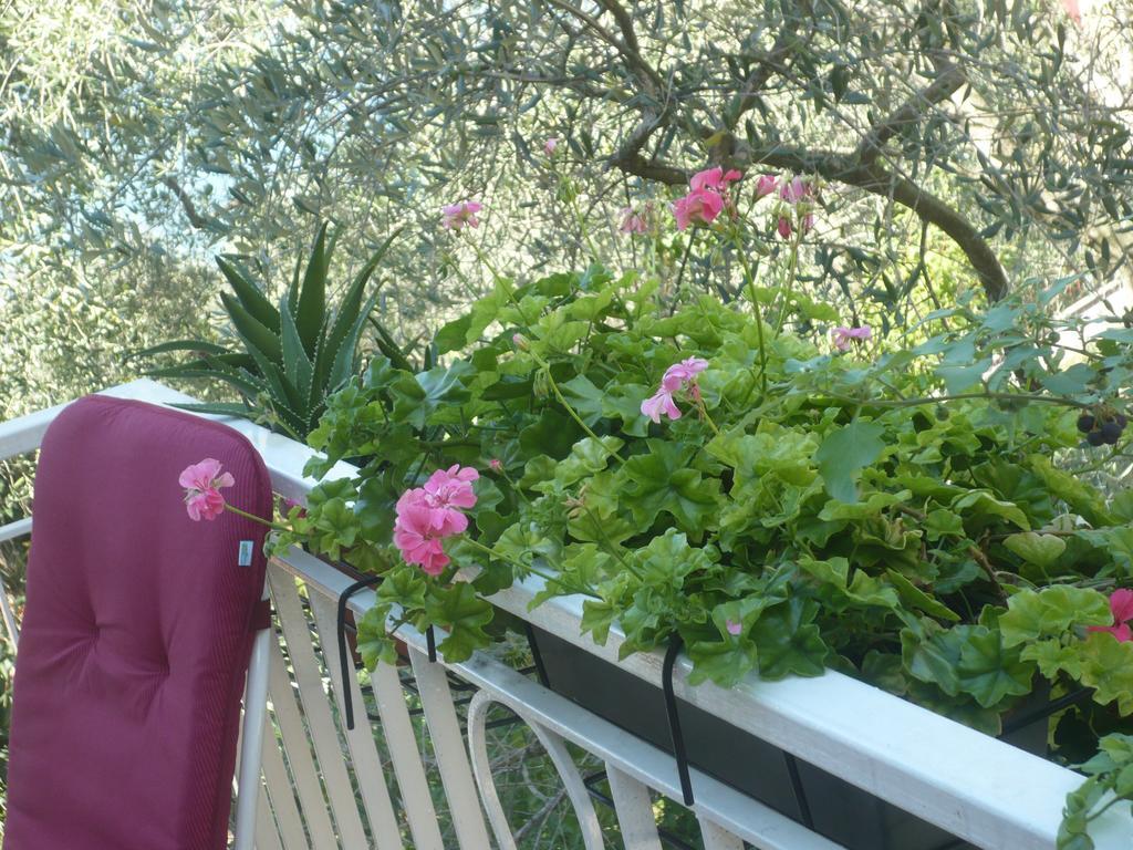 Appartamento Michela Brenzone sul Garda Habitación foto